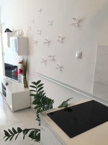 Cute Studio-Great Location Zadar Eksteriør billede